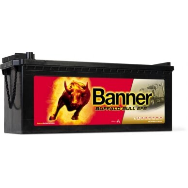 Banner 240Ah 1200A Buffalo Bull EFB akumuliatorius 12V 517X273X212/240MM